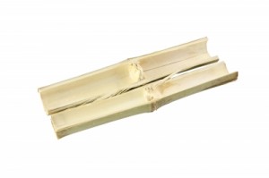 Bamboo