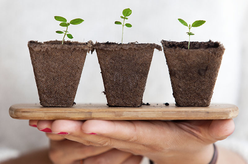 lead-nurturing